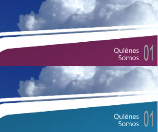 quiénes somos